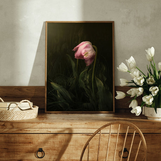 Nodding Tulip Printable Fine Art Photo 4x5 Ratio
